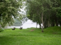 Park auf dem Weg durch die Highlands