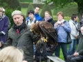 Adler auf der Hand