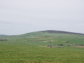 Landschaft der Orkney Inseln