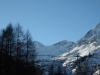Blick zum Ortler