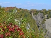 Die Montmorency Wasserfälle durch die Bäume