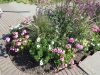 Blumen zur zierde