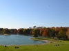 Park in Montreal