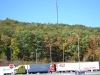 Bunter Wald auf der Highway Raststätte