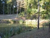 Teich mit Fischen bei Charleston, Illinois