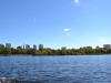 Blick vom Charles River auf Boston