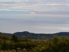 Blick über den Wald beim Cadillac Mountain