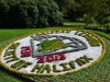 Blumen Bild im Public Garden