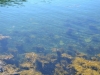 Klares Wasser vor den Toren Halifax
