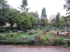 St. James Park