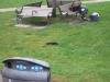 Schwarzes Eichhörnchen