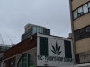 Toronto Hemp Company