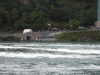 Unten bei den Schiffsanlegern zu den Niagara Fällen
