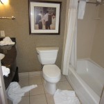 Badezimmer Hilton Garden Inn Columbus/Edinburgh