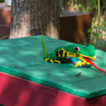 Frosch frißt Fliege