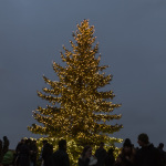 Weihnachtsbaum auf der Kaiserburg Nürnberg