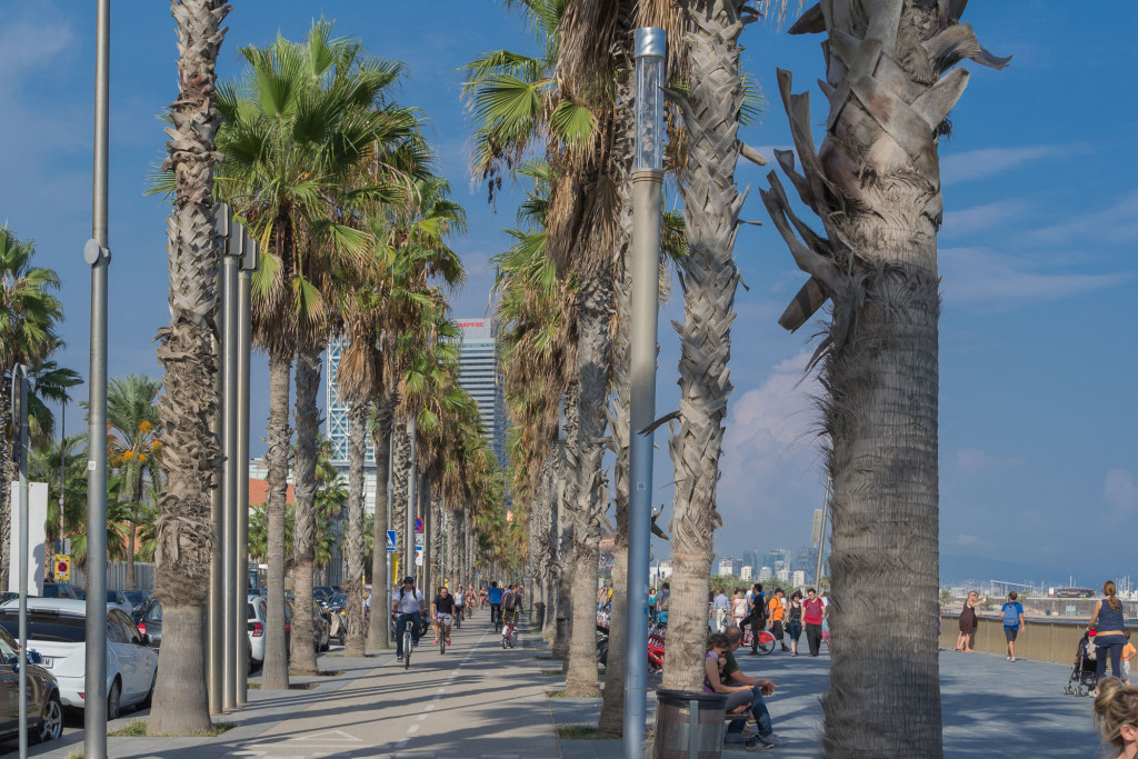 Strandpromenade von Barcelona