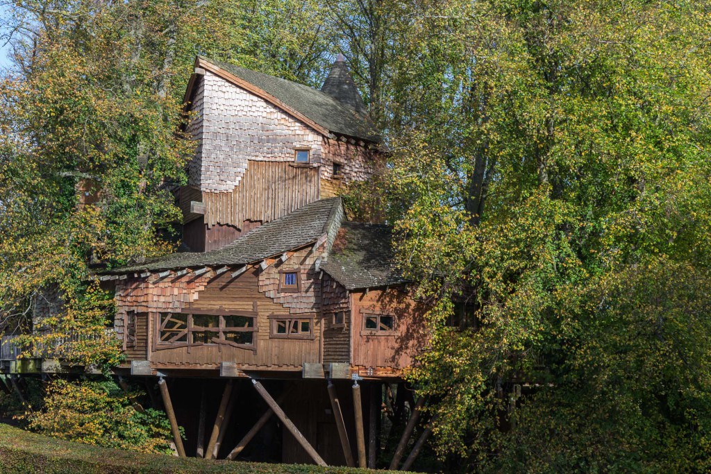 Baumhaus im verbotenen Wald