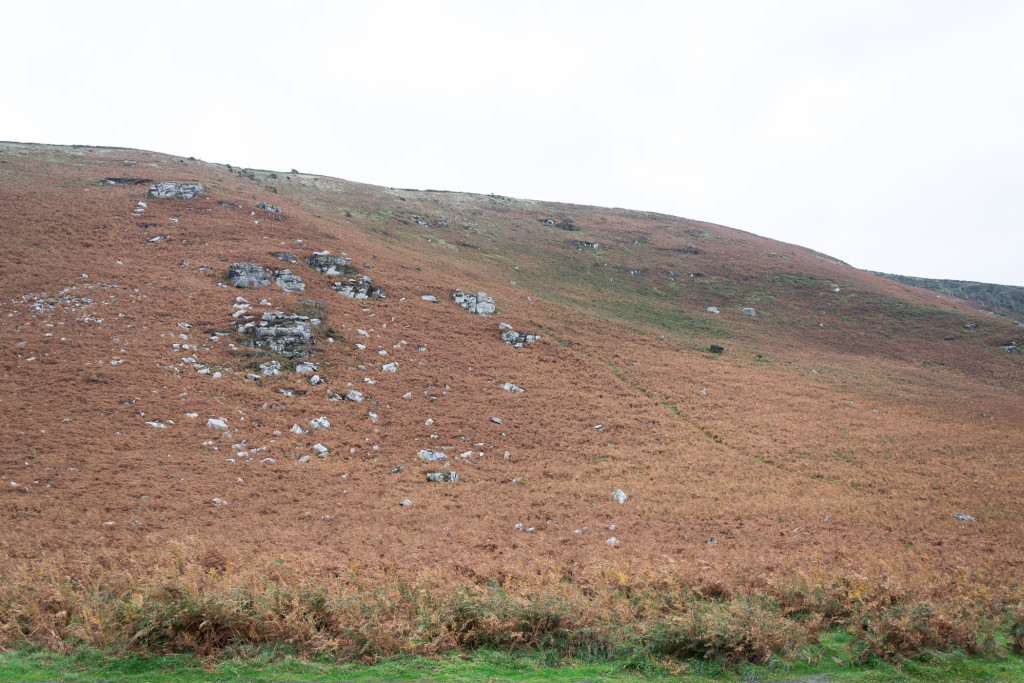 Nationalpark Exmoor- Valley of the Rocks