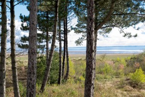 Blick auf die Nordsee aus dem Ferienhaus