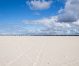Wüste? Nein Nordseestrand mit Fahrspuren - Reisejahr 2015 Wüste? Nein Nordseestrand mit Fahrspuren - Reisejahr 2015