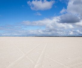 Wüste? Nein Nordseestrand mit Fahrspuren - Reisejahr 2015