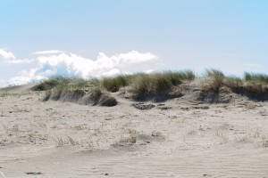 Düne auf der Insel in Dänemark