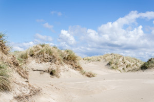 Aufgetürmte Dünen auf Rømø