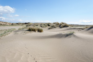 Dünen und Sand so weit das Auge reicht