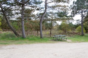 Rastplatz an der Straße auf Rømø