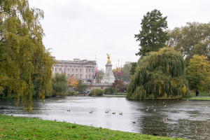 Sicht vom St. James's Park auf den Buckingham Palace