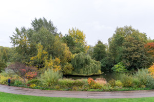 Bunte Pflanzenwelt im St. James's Park London