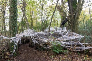 The Lost Gardens of Heligan - Spinnenweben? Nein Fäden!