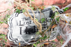 The Lost Gardens of Heligan - Verwildert?