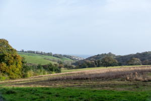 The Lost Gardens of Heligan - Blick auf die Britische Kulturlandschaft