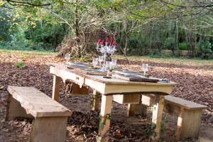 The Lost Gardens of Heligan - Halloween Tisch