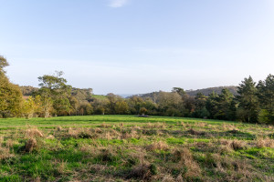 The Lost Gardens of Heligan - Weideland