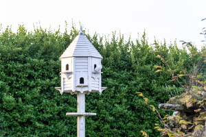 The Lost Gardens of Heligan - Tauben Schlag