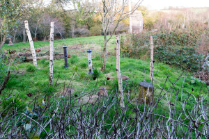 The Lost Gardens of Heligan - Vogelbeobachtungsposten
