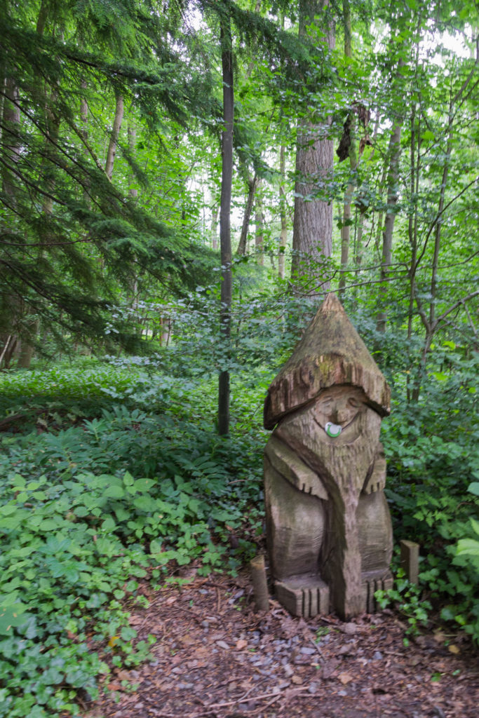 Dem Zwerg ganz nah - Wisentgehege Springe
