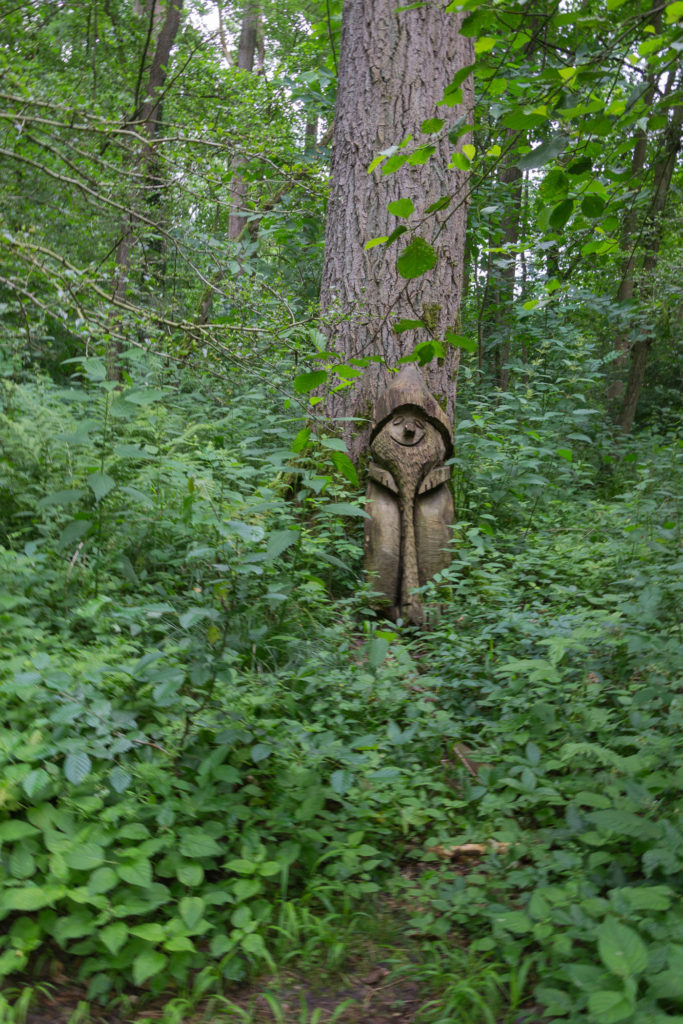 Zwerg im Wald - Wisentgehe Springe