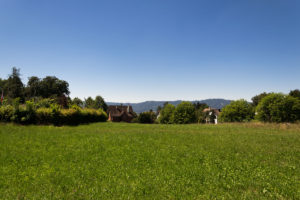 Direkt bei Zürich - Natur pur