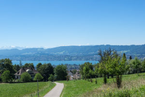 Zürichsee und die Schneeberge