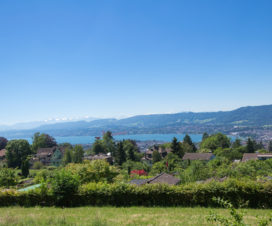 Panoramaweg oberhalb von Zürich