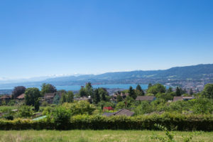 Panoramaweg oberhalb von Zürich
