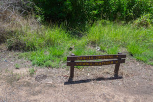 Wandern am Ubirr Rock