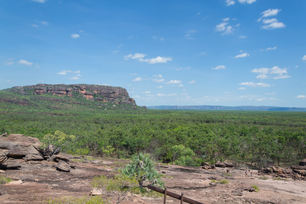 Aussicht vom Ubirr Rock