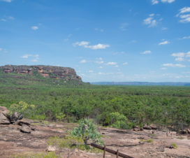 Aussicht vom Ubirr Rock