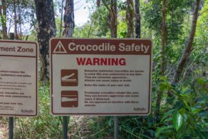 Low probability of Crocodile Safety Warning