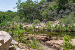 Wow was für eine Natur - Kakadu Nationalpark